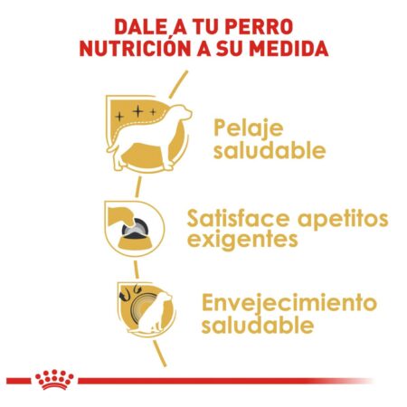 Royal canin, BHN, Yorkshire Terrier Adult - Imagen 5