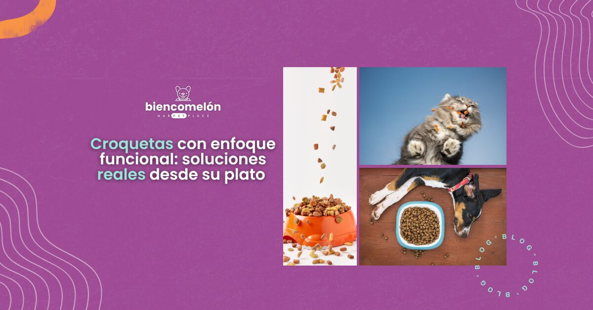 Croquetas con enfoque funcional: soluciones reales desde su plato