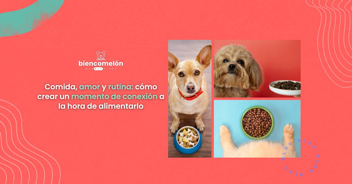Comida, amor y rutina