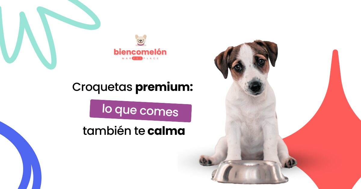 Croquetas premium