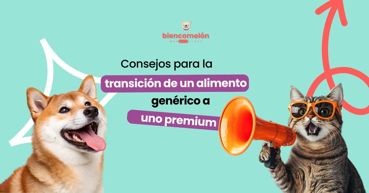 Consejos para la transición de un alimento genérico a uno premium